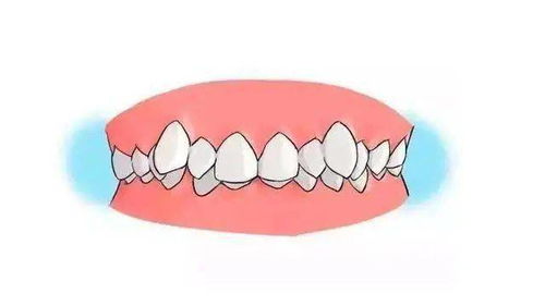 认识自己的每一颗牙齿 人的一生有多少颗牙齿 它们的作用是什么