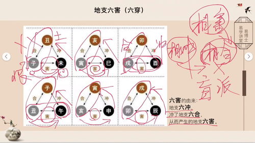 八字命理学,第十一课16 涨知识 学习 传统文化 