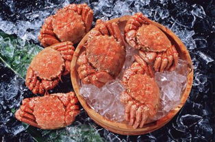 买回家的螃蟹需要放水养吗 