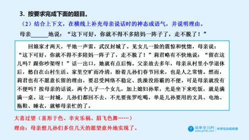 论文抽查查重全解析，了解这些让你更安心