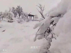 漫天大雪,亲情暖暖 