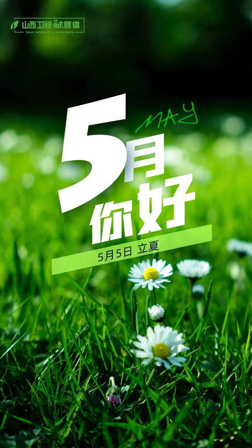 5月,你好