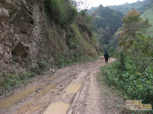 你走过这样的路吗 看看我家乡的路 