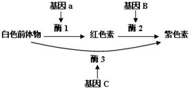 某植物花色由三对独立遗传的基因共同决定.花中相关色素的合成途径如图.请据图回答问题. 1 该图示体现的基因控制生物性状的方式是 . 2 已知该植物自花传粉和异花传粉皆可 