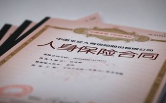 投保人和被保险人可以是一人吗(投保人和被保险人要相同吗)