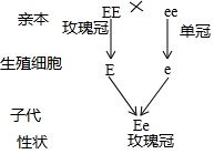 它们两者存在哪些差异—生物差异性指的是什么