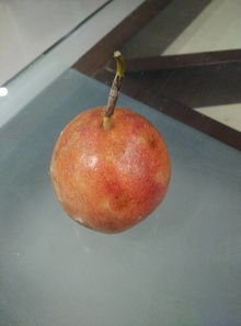 这个果子是什么名字 听说是用温水泡着喝的 