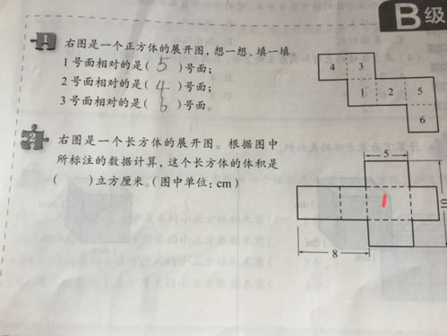 右图是一个长方体的展开图,求面积 