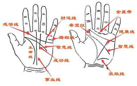 三条婚姻线图解