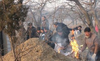 清明节,律师告诉你踏青 祭祖 喝酒 烧纸都有哪些忌讳