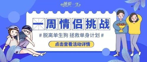 在线匹配 离异 第2期 一周情侣,体验一周脱单生活