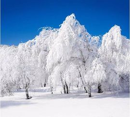 如何用PS制作雪景 