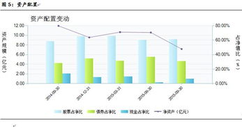 拥抱平衡：揭秘伯明翰足球俱乐部的管理与投资之道