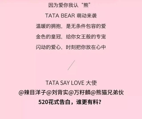 TATA 因为爱你,我认 熊