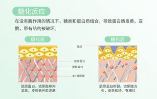 解决肌肤糖化,请认准aoiioa澳缇加肌底修护面膜