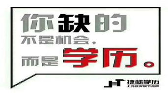 上海全日制大专学校 上海的专科学校排名