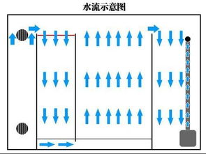 天王鱼缸两米x600x800能装多少水 