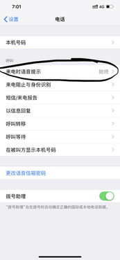 苹果手机来电话,会语音播报备注名字 怎样关掉 