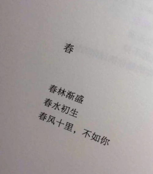 他们的歌拯救了众多年轻人被忽略的诗和远方 典藏音乐