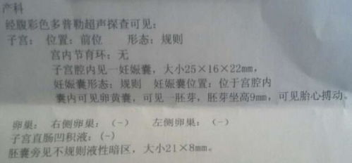 老婆怀孕50天,B超检查说胎心正常,孕酮等指标也是正常的,但是好像有点宫内出血,说要静养 