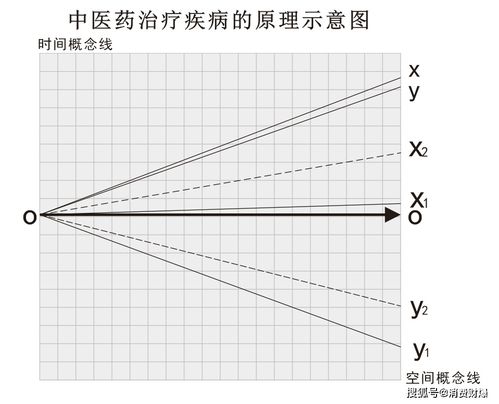 丁绍余 科学的证明 论中医的科学性