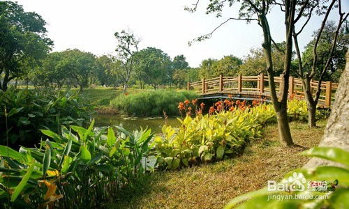 夏季去海珠湿地公园赏景的攻略是什么 (海珠湿地公园停车场收费标准最新)