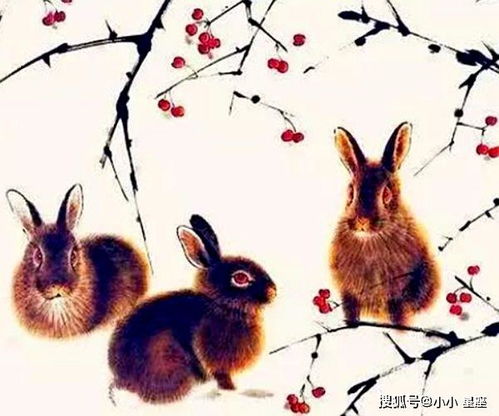 老人家说 属兔人生在这些年份,是 皇帝命 ,尤其是75 87的兔