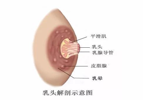 这个秘密,男人永远不希望被发现