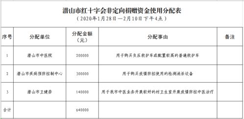 潜山市红十字会非定向捐赠资金使用分配公示 一