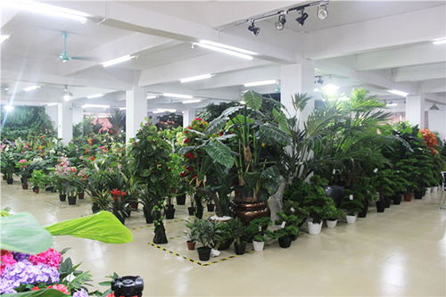 仿真植物展厅 