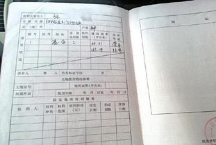 南充男子买房11年未过户 原房主 毁约 要求分层楼