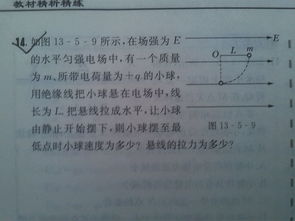 高中物理电学中，计算时哪些需要带正负号?(或者说一下判断方法）