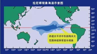 山东今冬有多冷(山东今年冬天最冷能达到多少度)