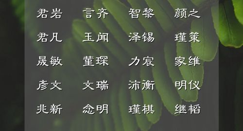 静渊有谋的男孩名字,仁而威,惠而信