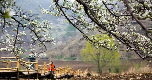 明媚春日,与你共享整片蓝天