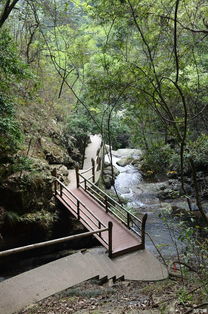 游记 江西大余丫山风景区