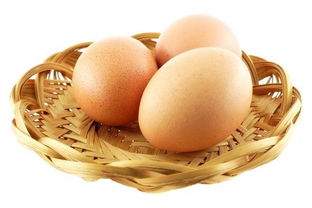 鸡蛋竖起来的冷知识(鸡蛋怎样竖起来？)(鸡蛋如何竖立起来)