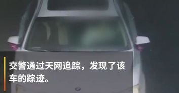 发抖音怎么模糊车牌