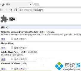 win10chrome无法安装