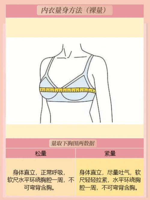 正确测量胸围尺码get内衣选择 穿法 