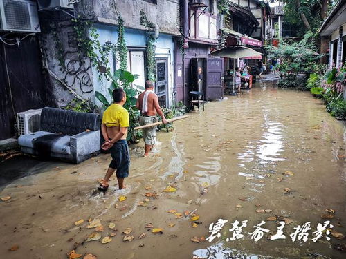 嘉陵江洪峰抵达,水淹磁器口,街上没有多少人居民们都忙着搬东西