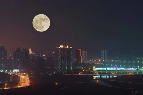 庚子中秋 今夜 有你们 月色真美