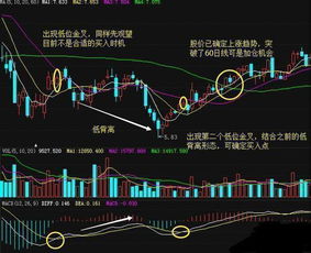 股票高手 股票指标区域是0~1 是什么？