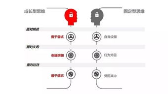 0315思维决定命运 成长型思维模式,更自信更成功 