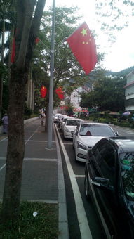 在深圳大梅沙去玩,把车停在路边收费停车位里,结果回来开车的时候被开罚单,请问合理吗 