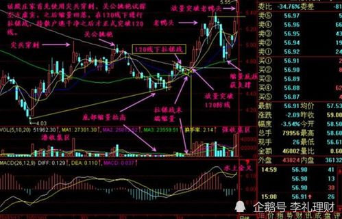 相比国内的股票和港股，美股是更好的投资手段吗？