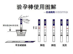 测孕棒(如何使用测孕棒)