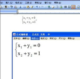 在word2003文档输入数学公式的具体方法 