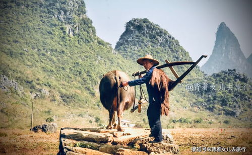 南方人比北方人长寿 广西80岁老人遍地走,为啥这么长命