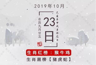 10月23日生肖运势 生肖蛇得不偿失